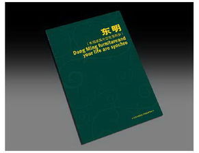 石家莊設(shè)計(jì)公司 如何通過多元化設(shè)計(jì)服務(wù)提升品牌影響力？